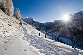 Invernale al MONTE MASONI con discesa in Valsambuzza e salita al PIZZO ZERNA il 21 gennaio 2012 - FOTOGALLERY